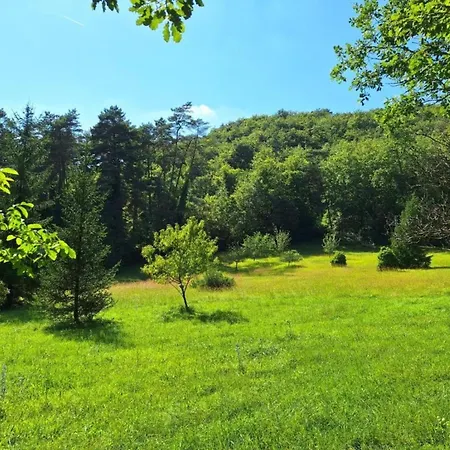 In Near Font-de-gaume شقة